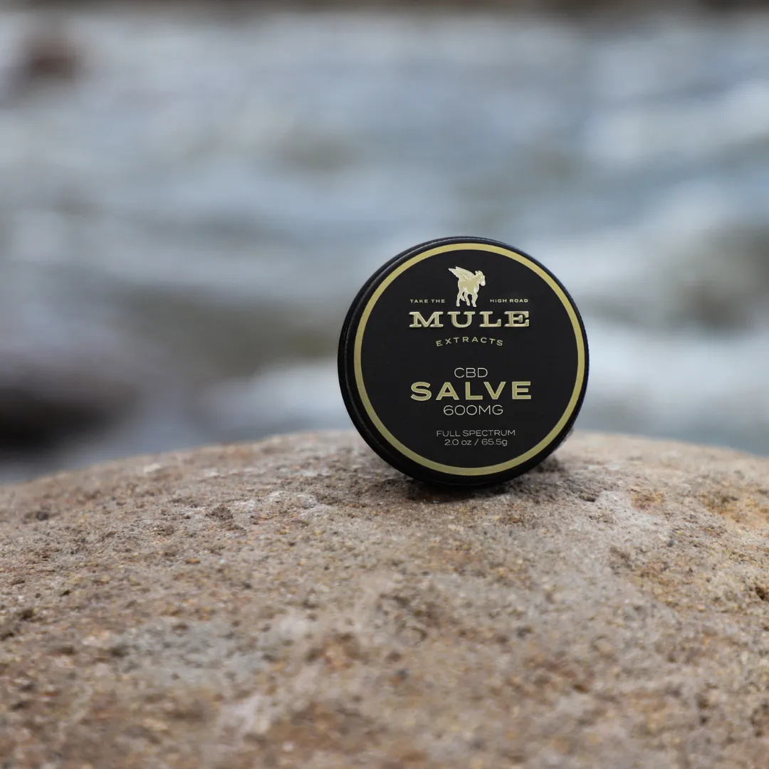 CBD Salve