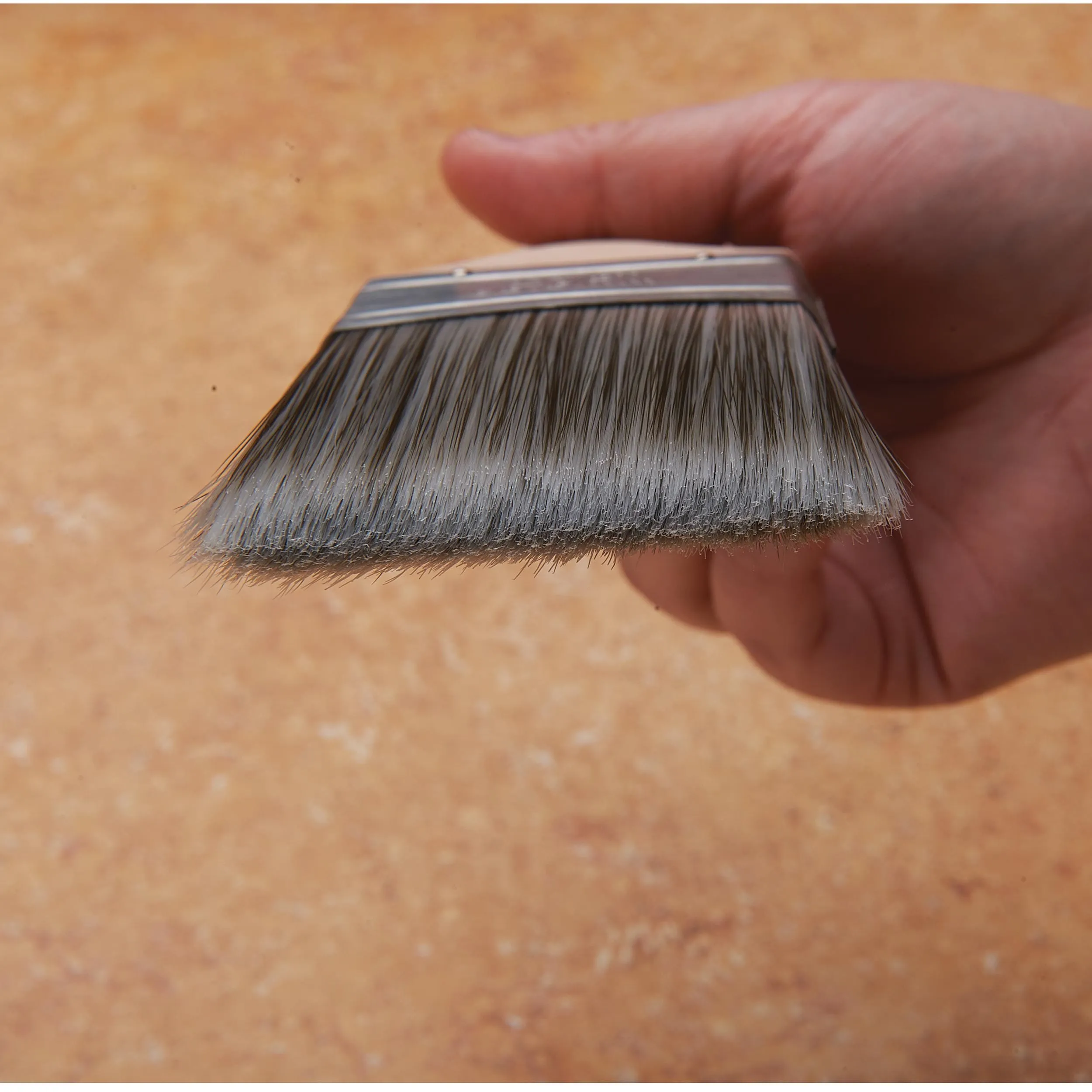 Paint Brush Sets - 6 Piece