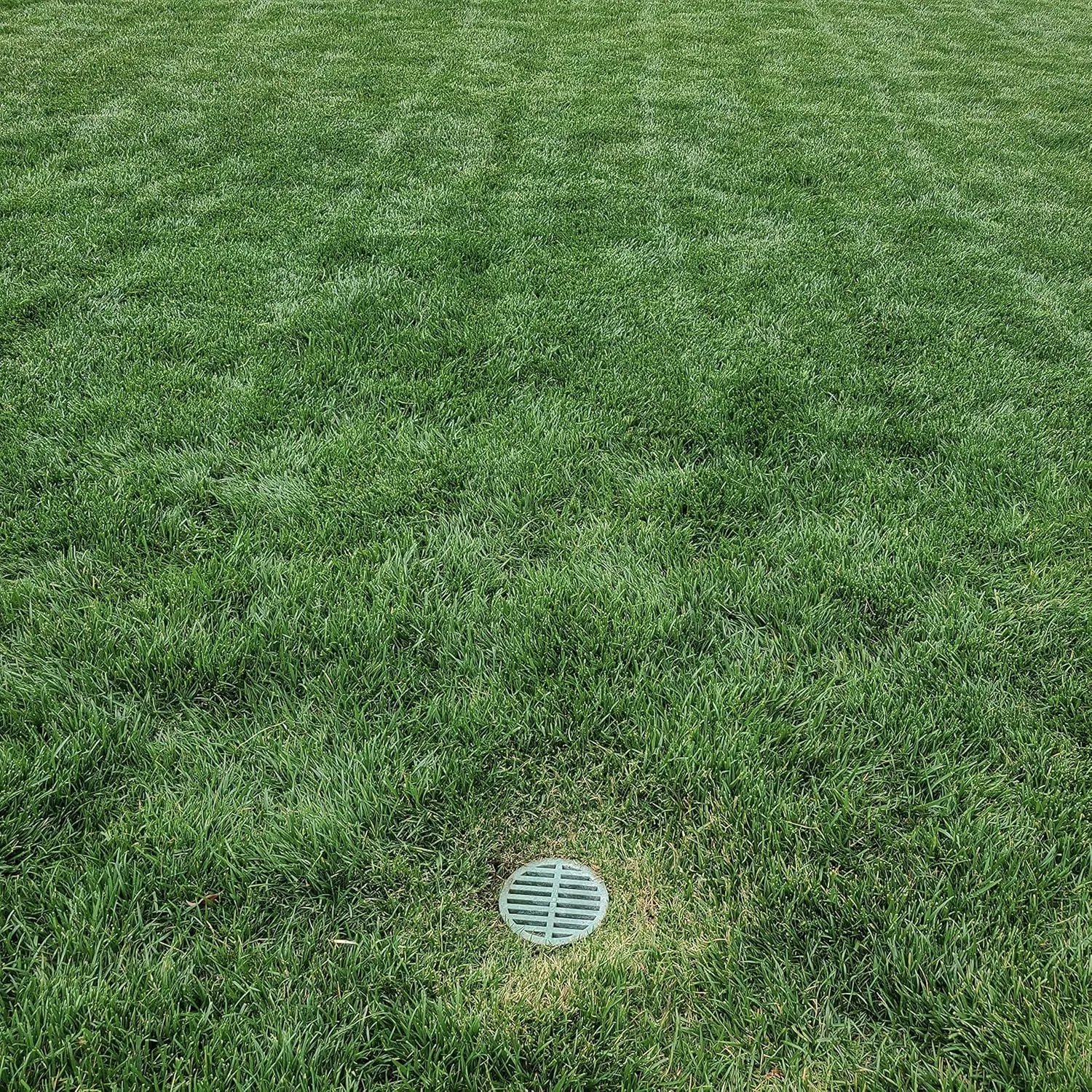Premium USA Made 3" Inch GREEN Outdoor Round Flat Drain Grate Cover - Fits 3" Inch Sewer & Drain Pipe/Fittings, Also Fits Triple Wall Pipe & Corrugated Landscape Pipe 3" (GREEN)