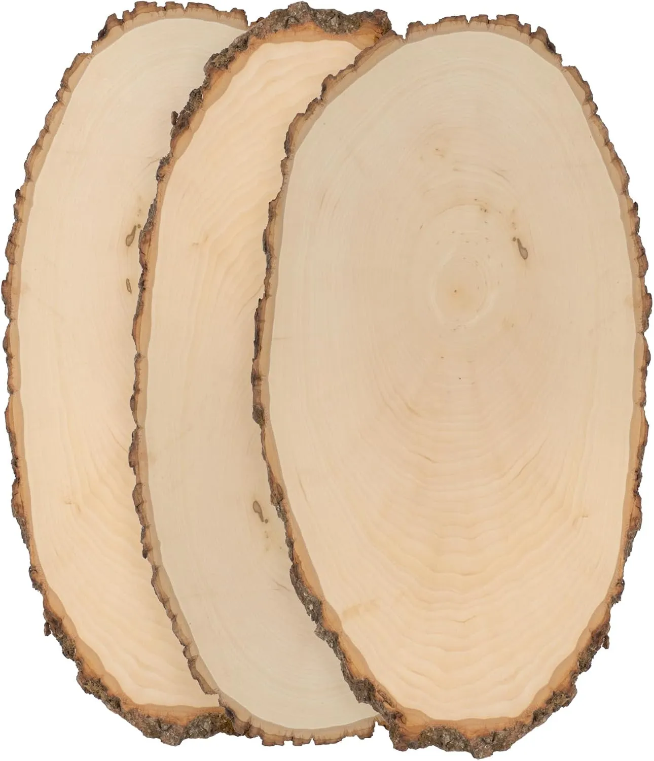 Walnut Hollow Basswood Round, Large 9-12" Wide with Live Edge Wood (Pack of 3) - for Wood Burning, Home Décor, and Rustic Weddings