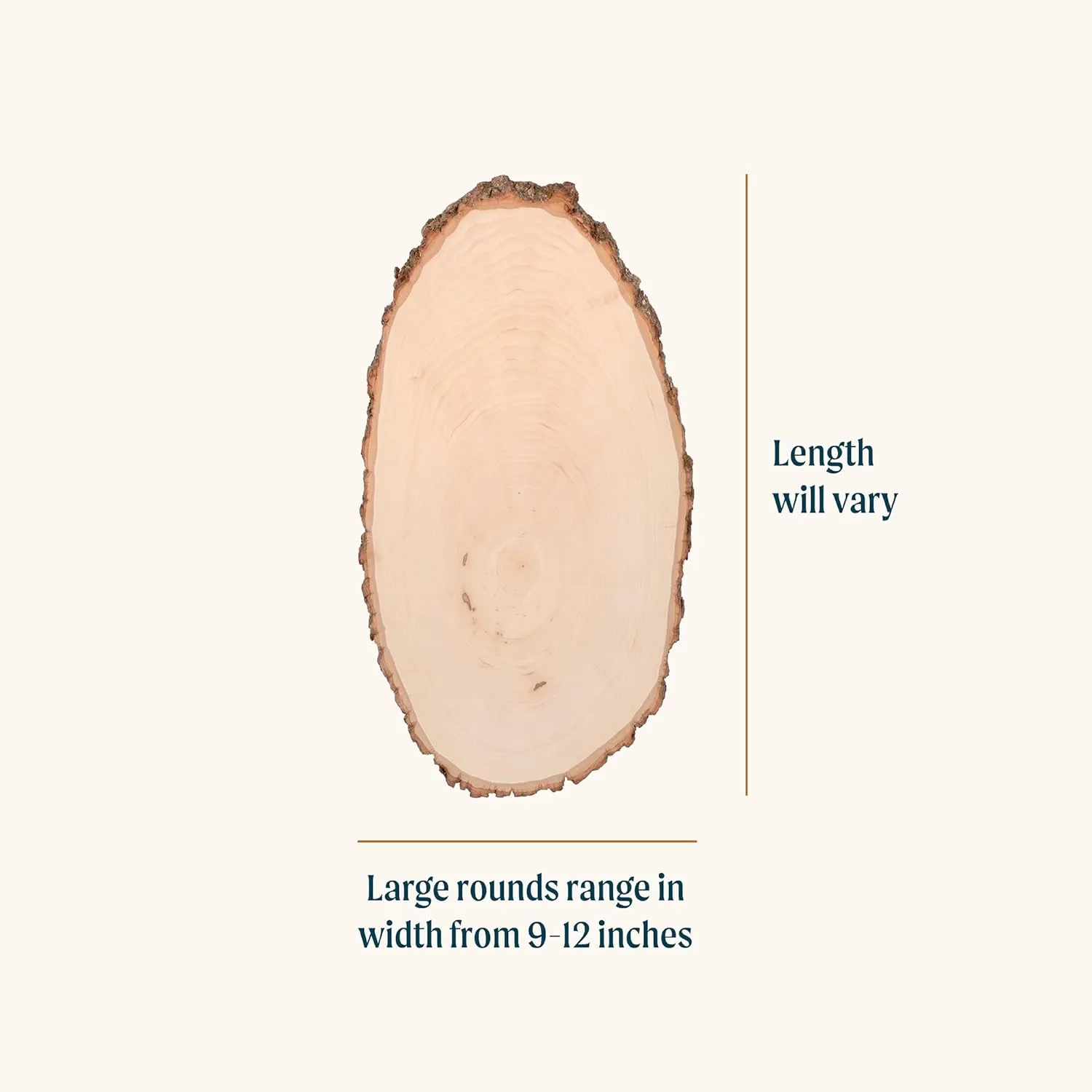 Walnut Hollow Basswood Round, Large 9-12" Wide with Live Edge Wood (Pack of 3) - for Wood Burning, Home Décor, and Rustic Weddings