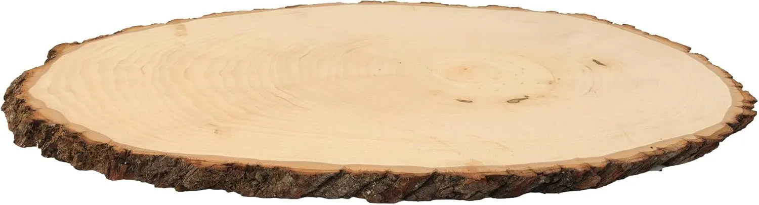 Walnut Hollow Basswood Round, Large 9-12" Wide with Live Edge Wood (Pack of 3) - for Wood Burning, Home Décor, and Rustic Weddings