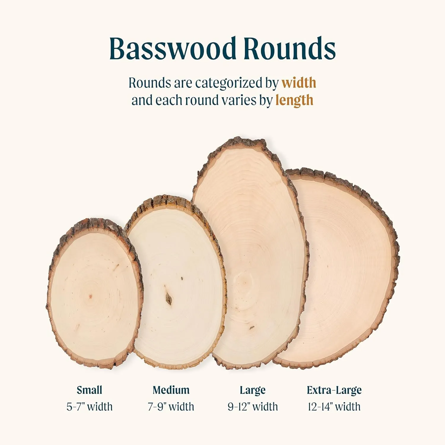 Walnut Hollow Basswood Round, Large 9-12" Wide with Live Edge Wood (Pack of 3) - for Wood Burning, Home Décor, and Rustic Weddings