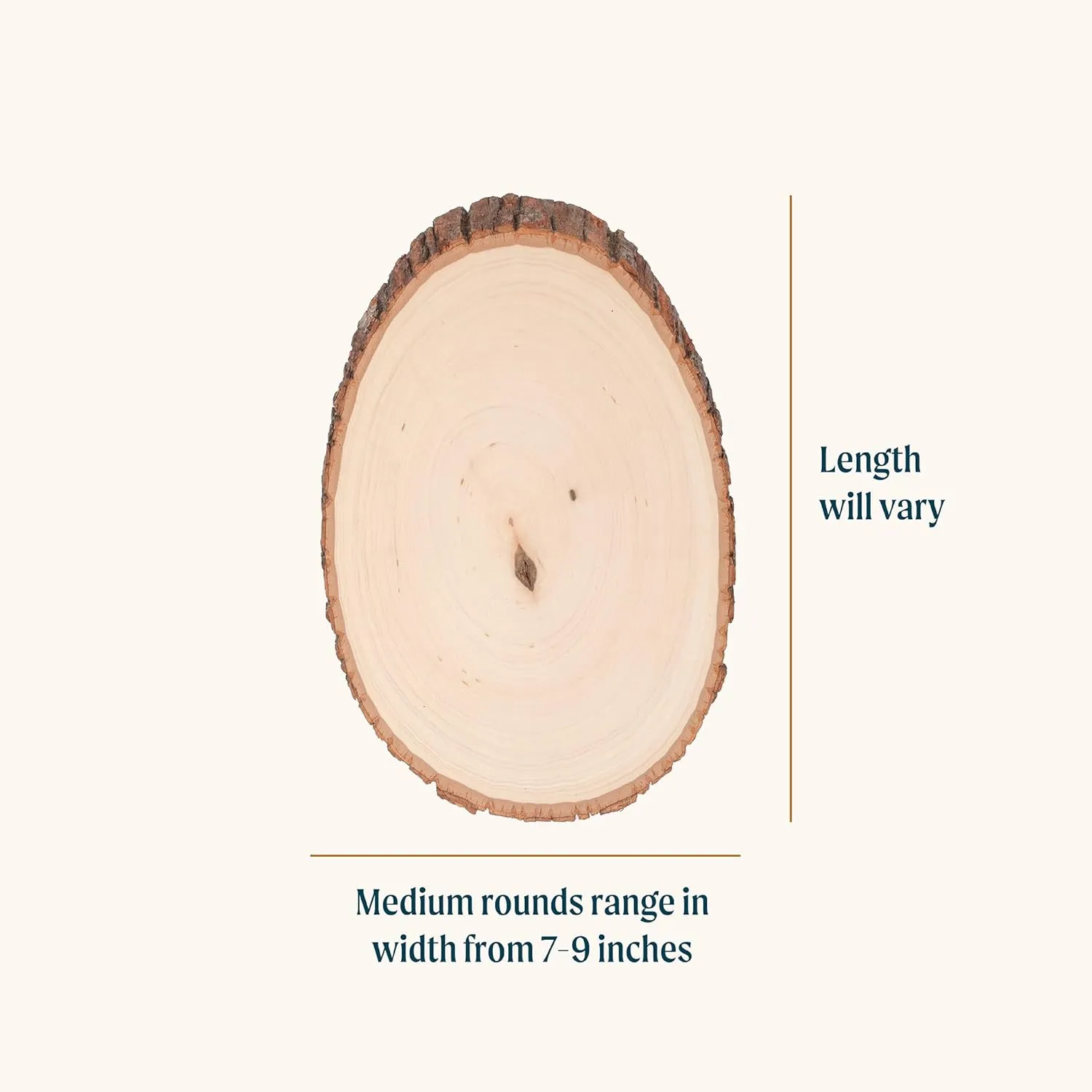 Walnut Hollow Basswood Round, Medium 7-9" Wide with Live Edge Wood (Pack of 3) - for Wood Burning, Home Décor, and Rustic Weddings